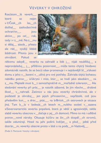 Pravopisné cvičení - Veverky v ohrožení