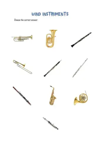 Wind instruments
