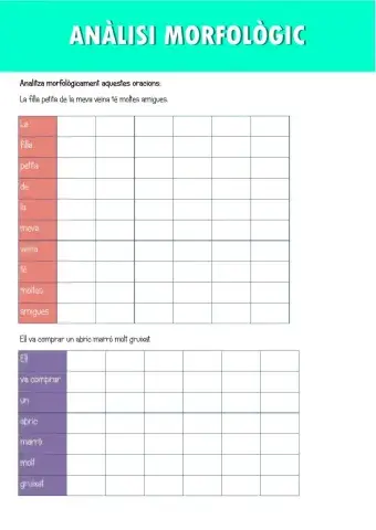 Anàlisi morfològic