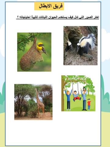 اختر الصور التي تدل كيف يستخدم الحيوان النباتات لتلبية احتياجاته ؟
