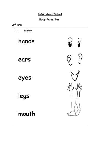 Body Parts