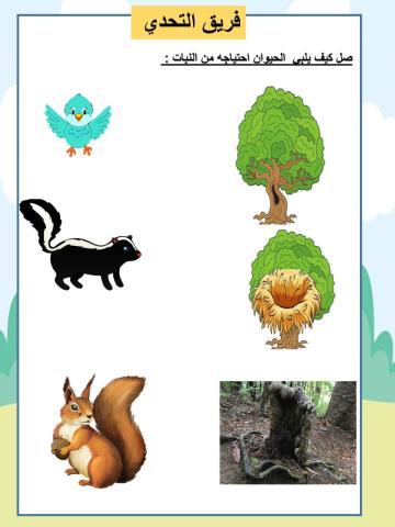 صل كيف يلبي  الحيوان احتياجه من النبات :