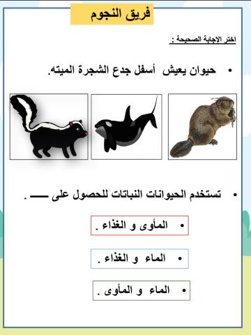 اختر الإجابة الصحيحة :