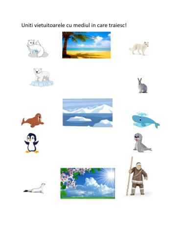 Vietuitoarele de la poli