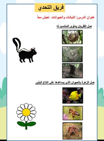 فريق التحدي صل