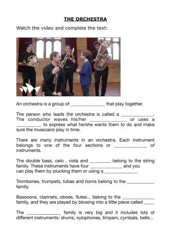 THE ORCHESTRA (5TH GRADE)