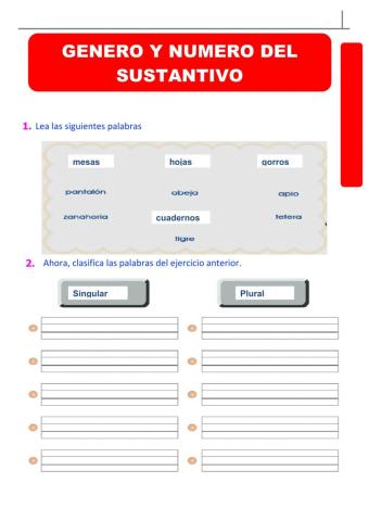Genero Y Número del sustantivo