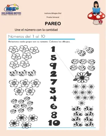 Conocimiento del medio