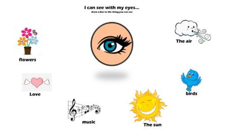 i can see whit my eyes