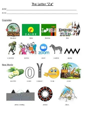 The Letter Zz Dina Shterengas