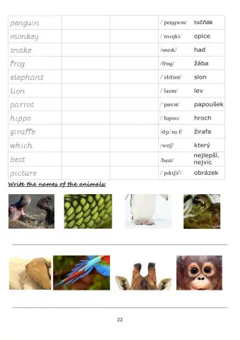 Happy Street 2 Vocabulary Unit 4-2