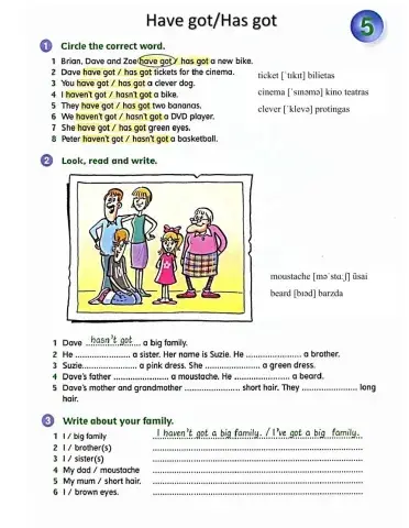 Have got and Has got