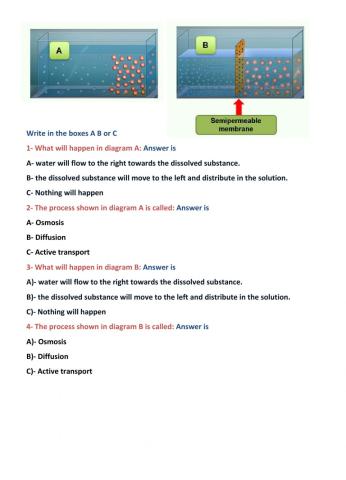 Osmosis and diffusion