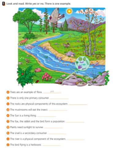 Living things in the ecosystems