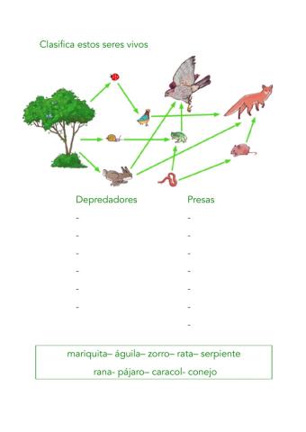 Depredadores y presas