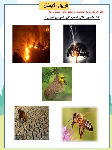 اختر الصور  التي تسبب تغير في  الموطن البيئي ؟