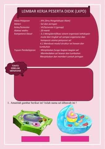 Lkpd sel dan jaringan kelas VII-A
