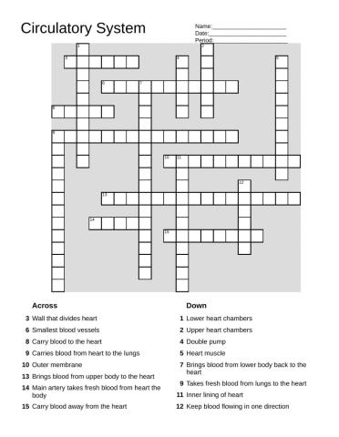 Crossword Puzzle - Circulatory System