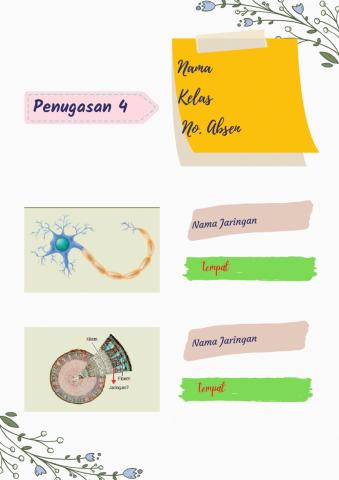 Jaringan pada makhluk hidup