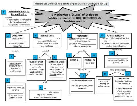 5 Mechanisms (Causes) of Evolution