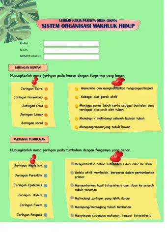 Struktur organisasi kehidupan