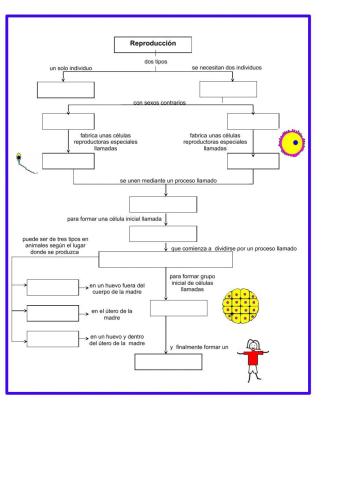 Reproducción sexual