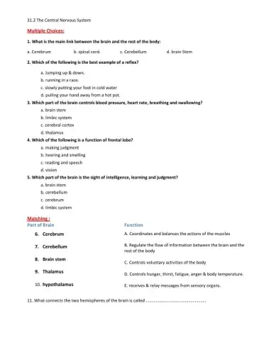 L31.2 THE CENTRAL NERVOUS SYSTEM