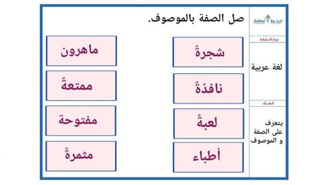 اكتشاف ولغة