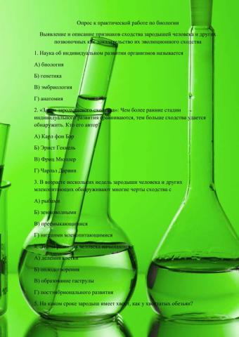 Выявление и описание признаков сходства зародышей человека