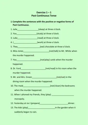 Exercise 2.1 Past Continuous