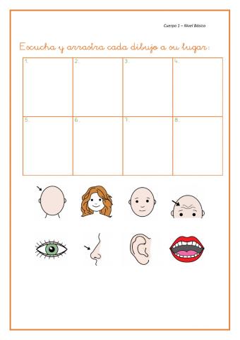 Partes del cuerpo 1