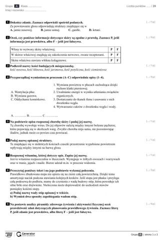 Diagnoza semestralna