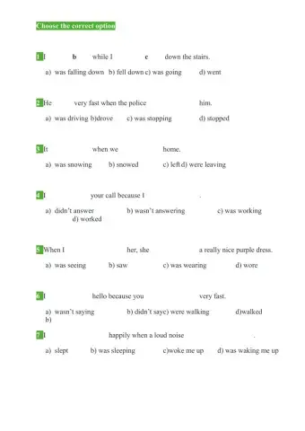 Past Simple and Past Continuous