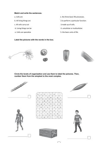 science 6º living things