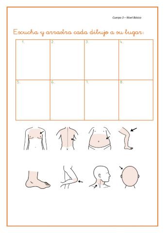 Partes del cuerpo 3
