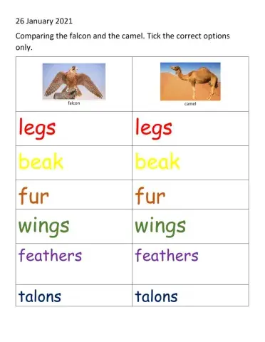 Animal body parts