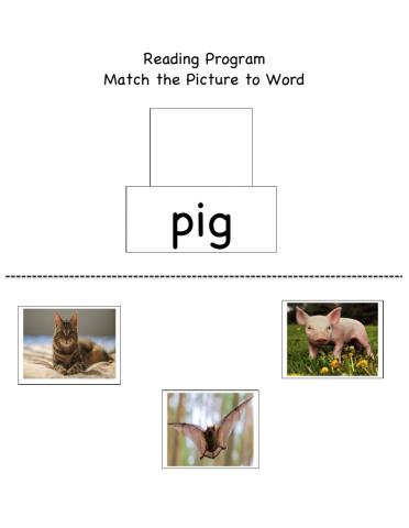 Matching picture to word: PIG