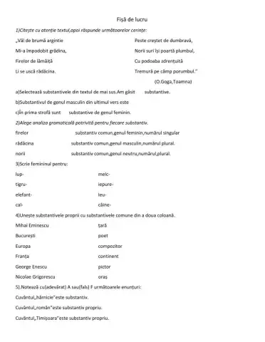 Fișă de lucru