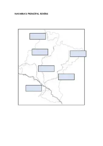 Social science activity (20-01)