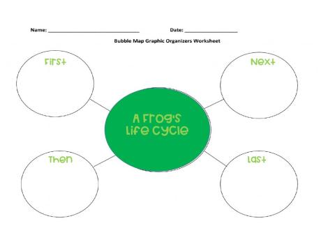 A Frogs Life Cycle Bubble Map