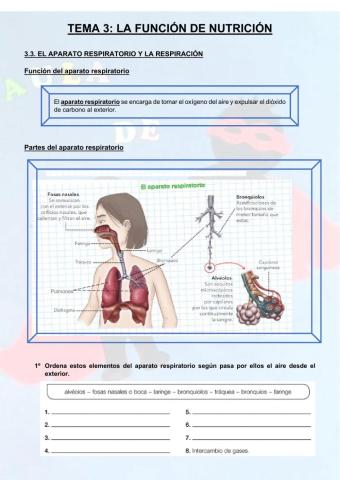 Aparato respiratorio y respiración