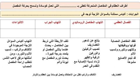 الجهاز الهيكلي - 10