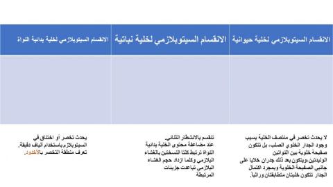 انقسام السيتوبلازمي