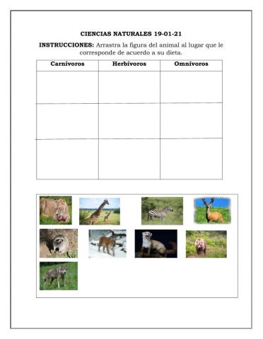 Animales carnívoros, herbívoros y omnívoros