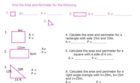 Area and perimeter (Test)