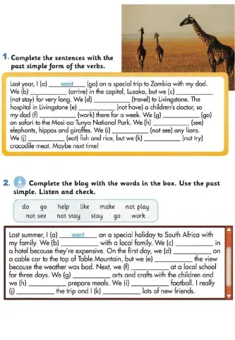 AS4 GG4 Past Simple Revision