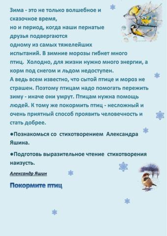 Покормите птиц зимой
