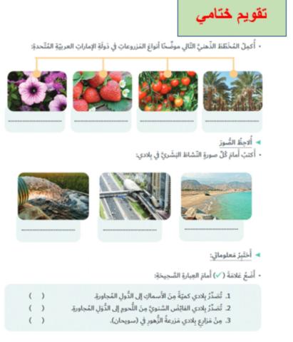 الاننشطة الاقتصادية تقويم ختامي