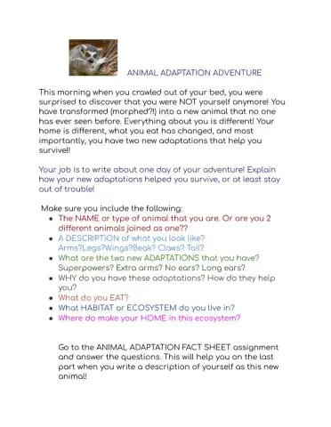 Animal Adaptations project