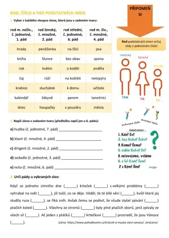 Rod, číslo, pád podstatných jmen